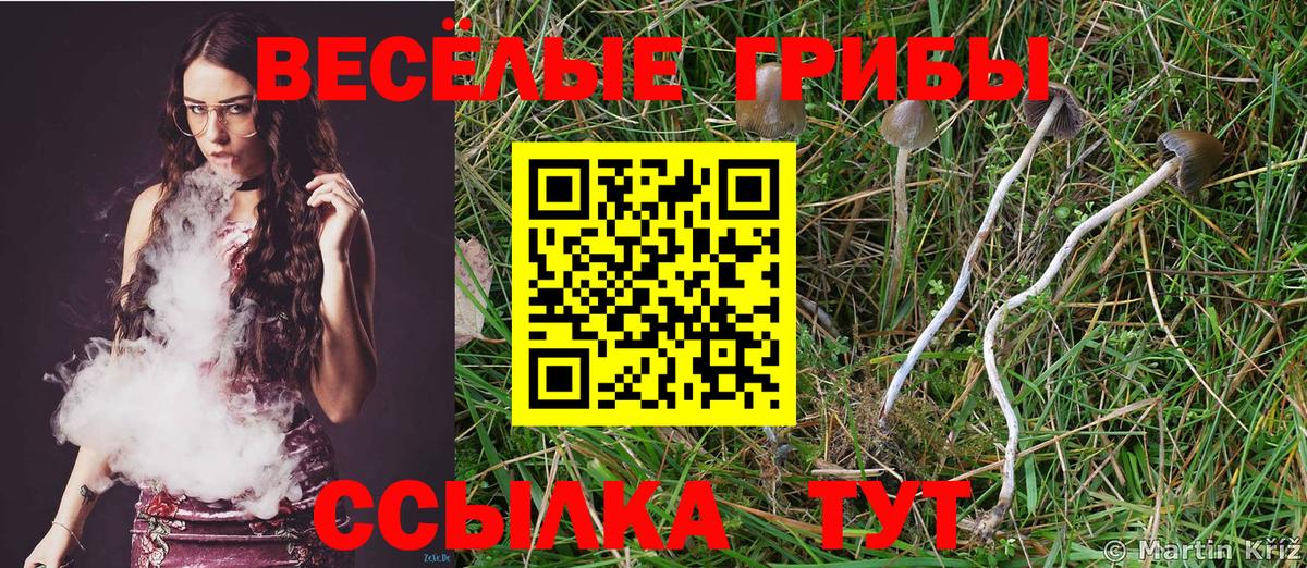 Псилоцибиновые грибы прущие грибы Бердск
