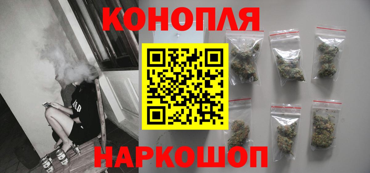 Марихуана MAZAR  Конопля сатива  Бердск  Вход с VPN 